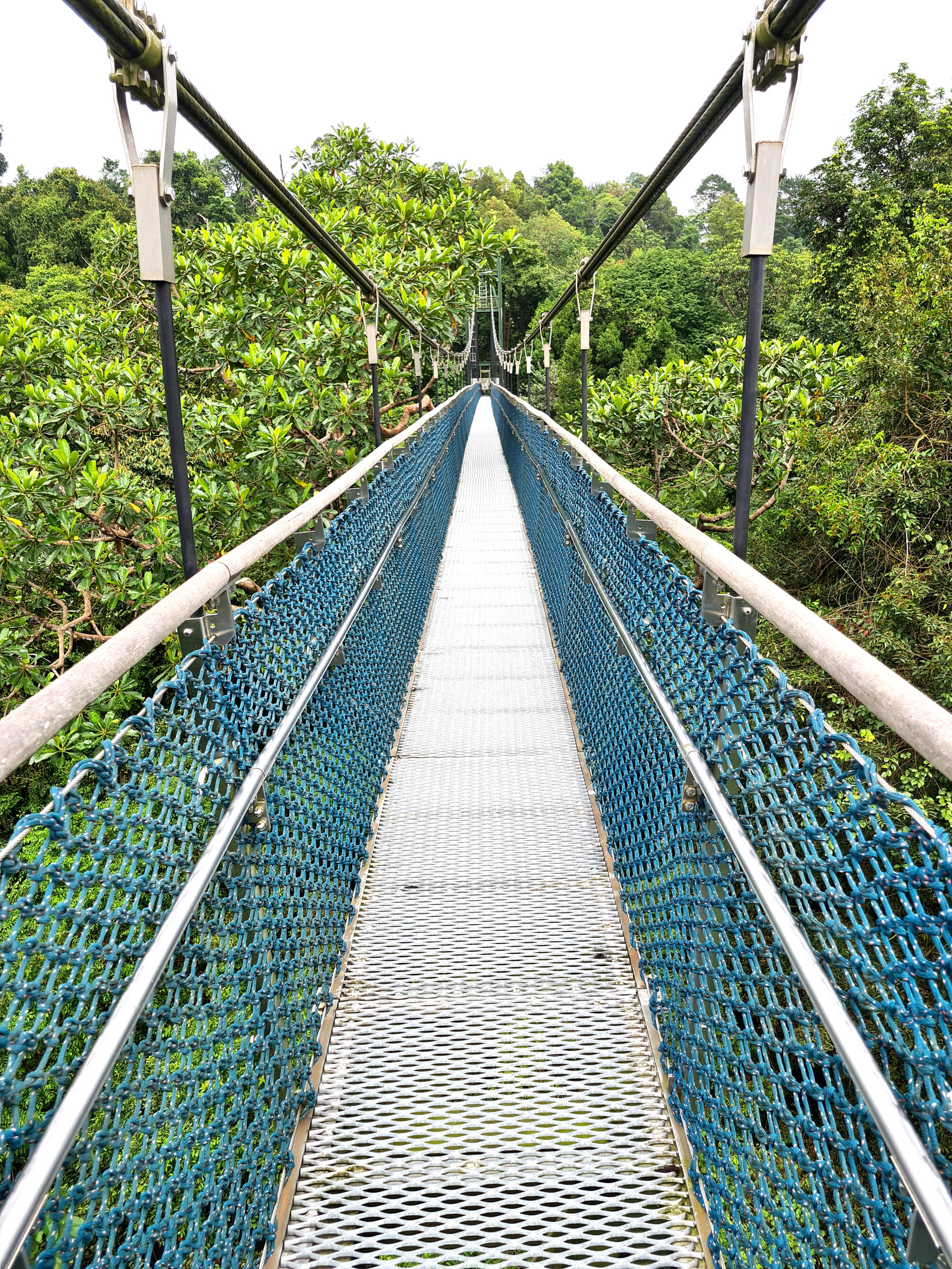 Suspension Bridge in Singapore